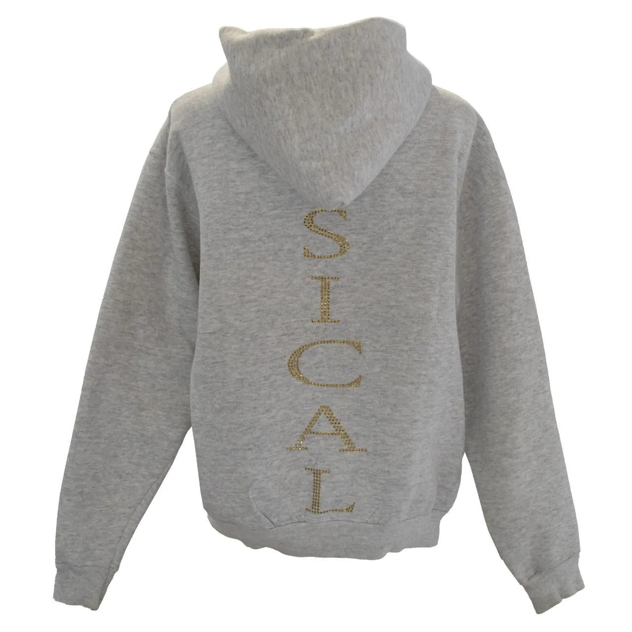 PAYTON MUSICAL HOODIE
