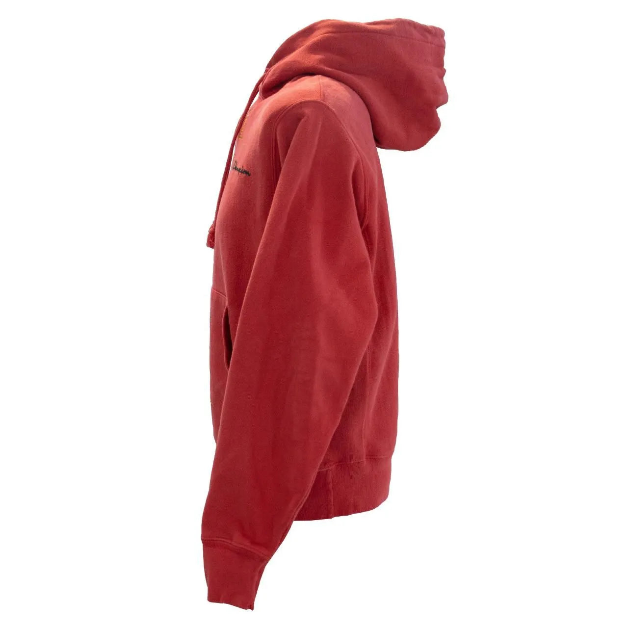 PAYTON MUSICAL HOODIE